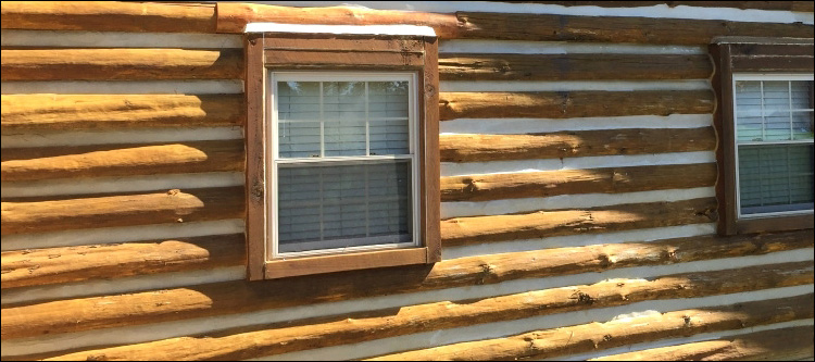 Log Home Whole Log Replacement  Warner Robins, Georgia